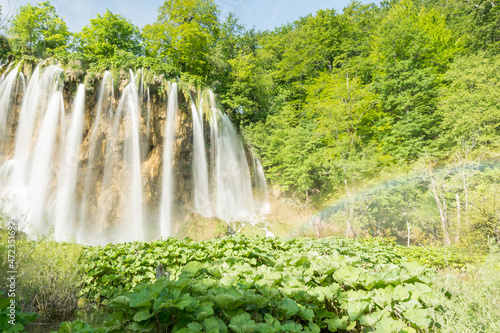 Fototapeta Naklejka Na Ścianę i Meble -  waterfall in plitvice national park