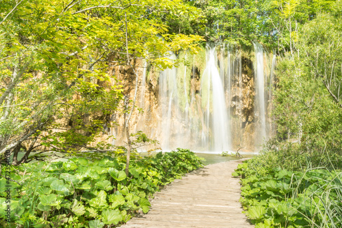 Fototapeta Naklejka Na Ścianę i Meble -  waterfall in the green woods