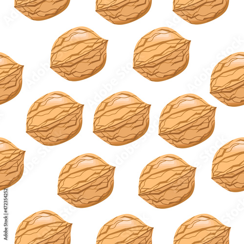 Seamless walnut pattern whole on a white background.Vector pattern.