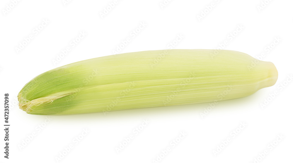 Fresh whole unpeeled corn cob isolated on a white background. Fresh whole unpeeled corn cob isolated on a white background.