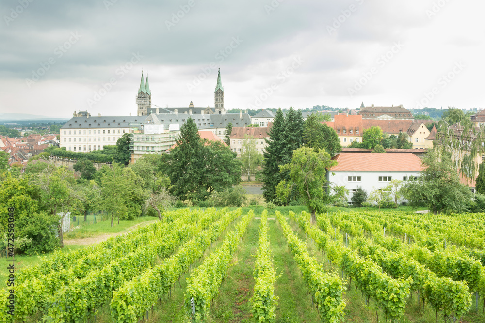 vineyard overlooking a town in europe
