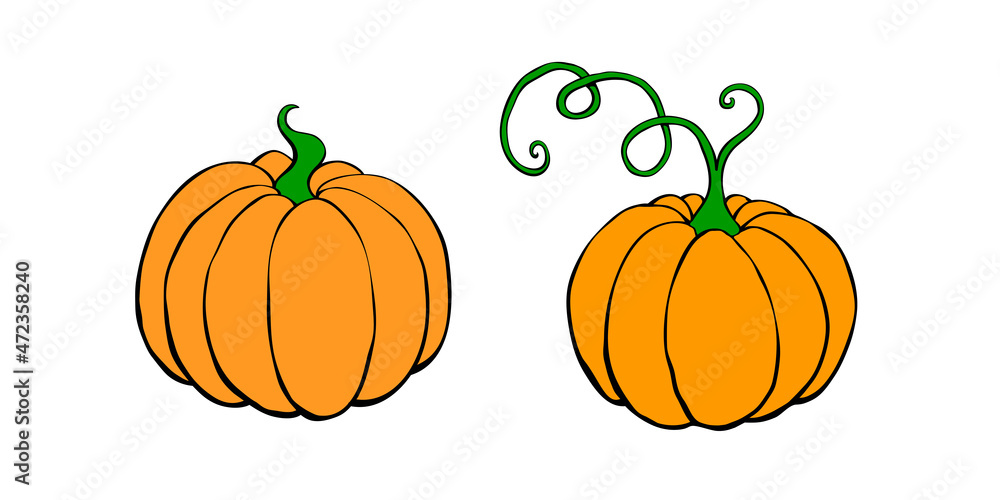 Set of vector color pumpkin in flat style, isolated. Symbol Halloween, autumn, crop, thanksgiving day, fruitful year