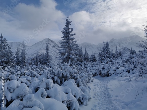 zima w Tatrach, śnieg, góry, mróz, zaspy, zagrożenie lawinowe, TPN,  photo
