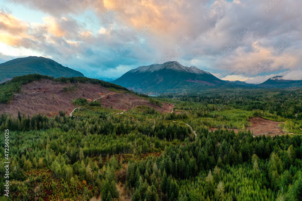 Fototapeta premium Landscape of mountains and forests with evidence of logging