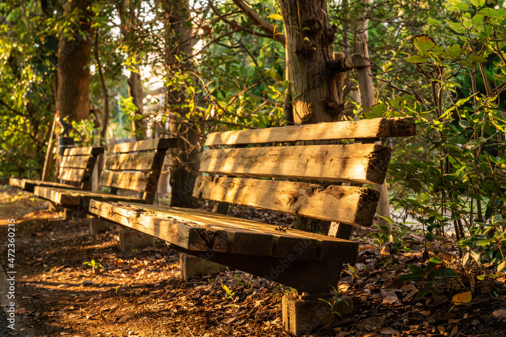 Naklejka premium bench in the park