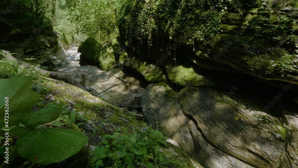 The Caucasus Mountains. Kudepsta River Canyon. Subtropical forest. The Caucasus Mountains. Kudepsta River Canyon. Subtropical forest.