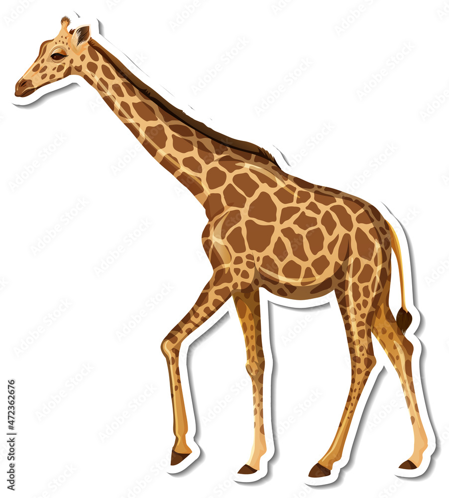 Obraz premium A sticker template of giraffe cartoon character