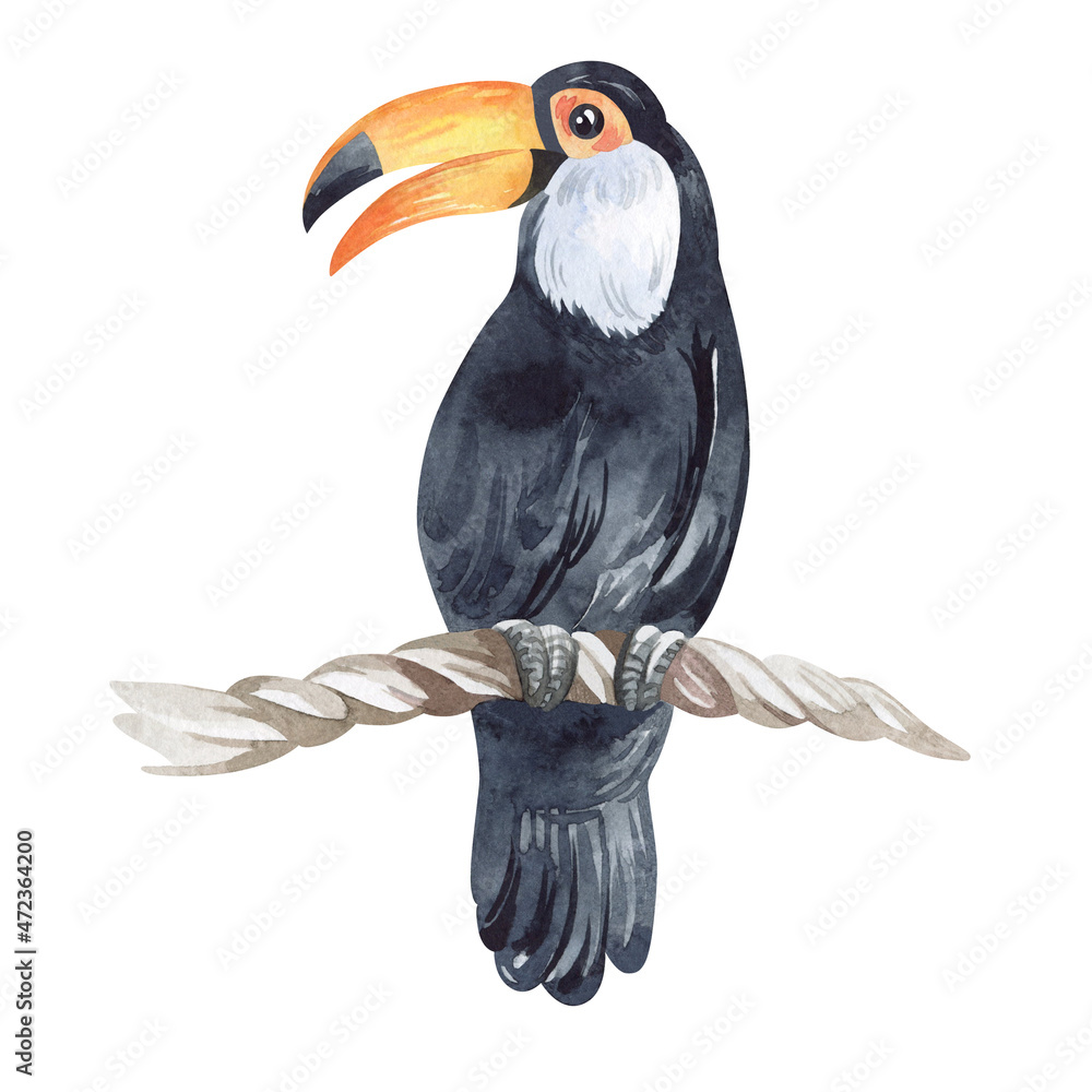 Fototapeta premium watercolor illustration. Wild Australian animals and birds.