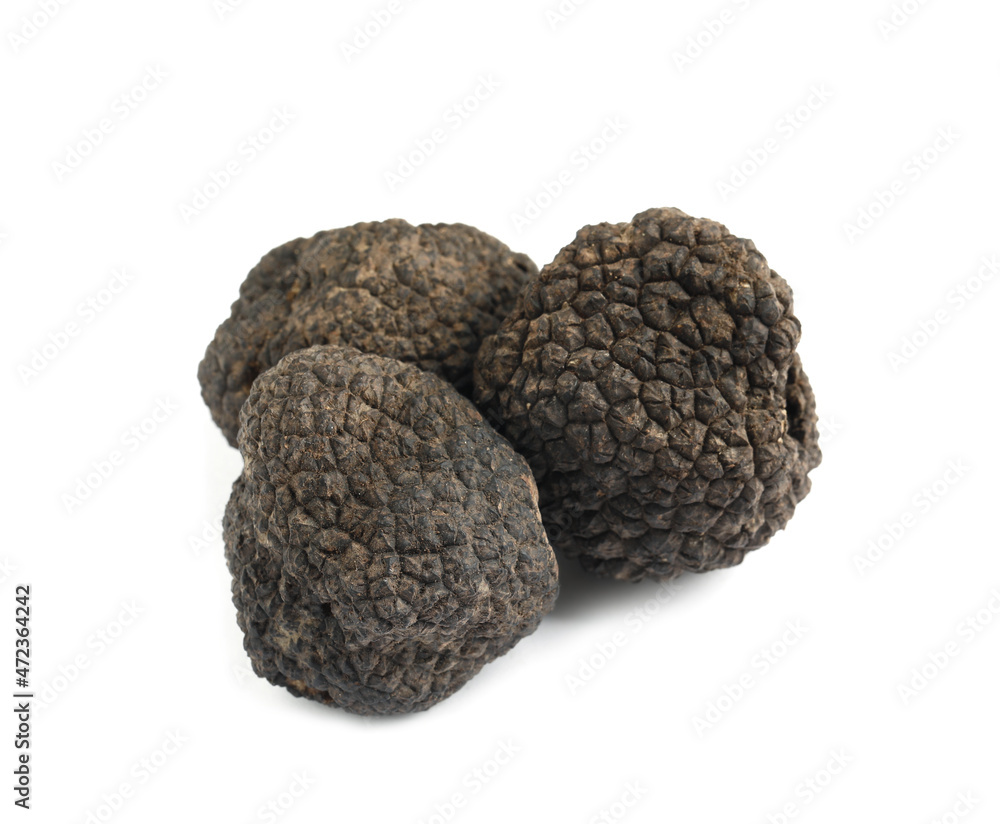 Fresh whole black truffles isolated on white Fresh whole black truffles isolated on white
