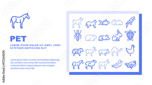 Pet Domestic, Farm And Sea Aqua Landing Web Page Header Banner Template Vector Mice And Hamster, Dog Puppy And Cat Kitty Pet, Horse And Camel, Parrot And Chicken Bird, Turtle And Aquarium Illustration