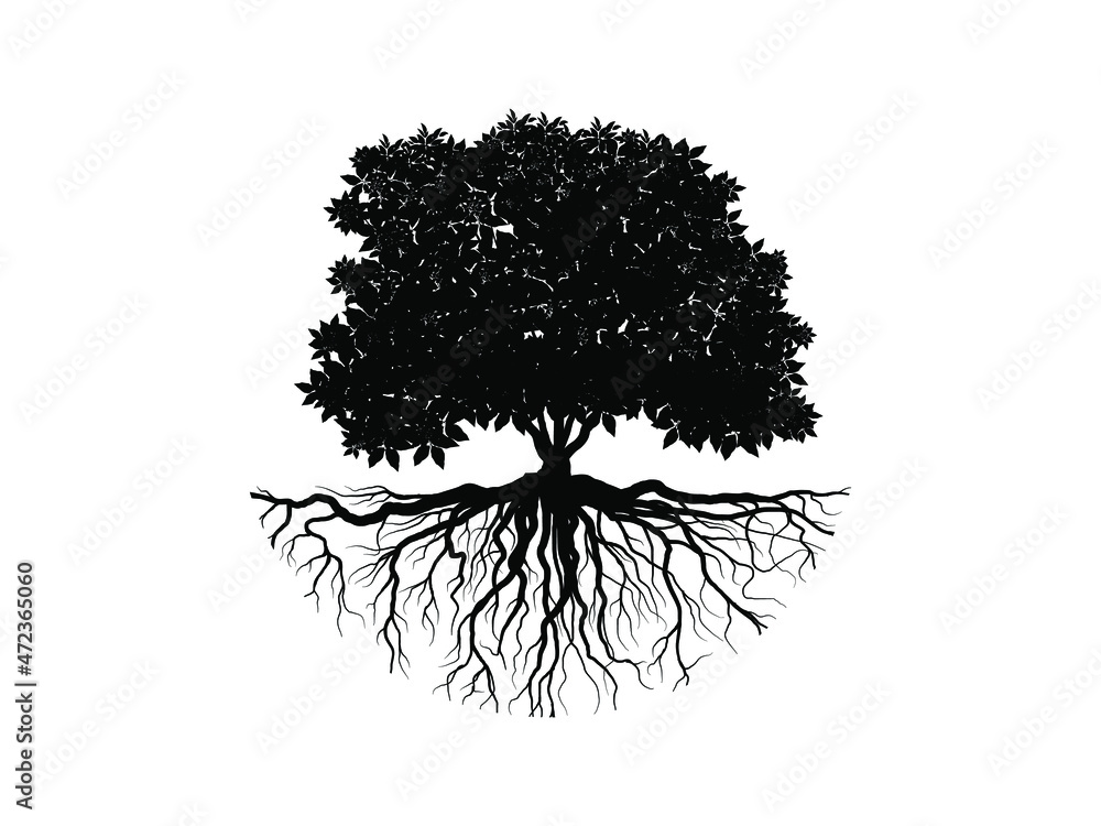 Tree and root silhouette isolated on white background. Stock Vector ...