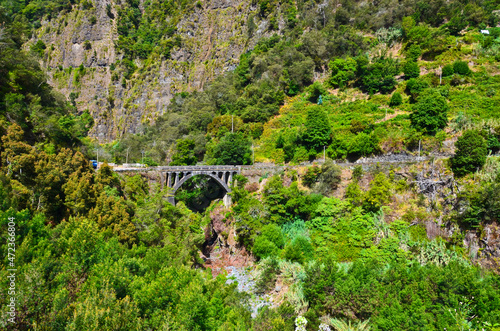 Road bridge among greenery and rocks