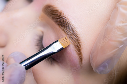 close-up of the eyebrow after the lamination procedure, the master applies a toning agent with a brush photo
