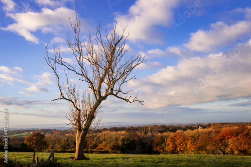 Autumn view from the edge of the high weald to the the south downs near Dallington east Sussex south east England UK