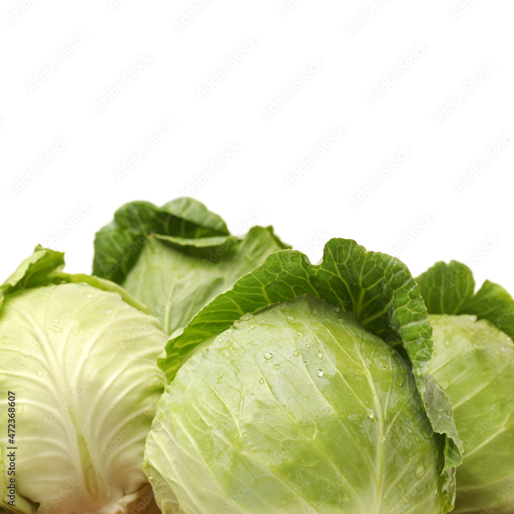 Fototapeta premium Green cabbage isolated on white background
