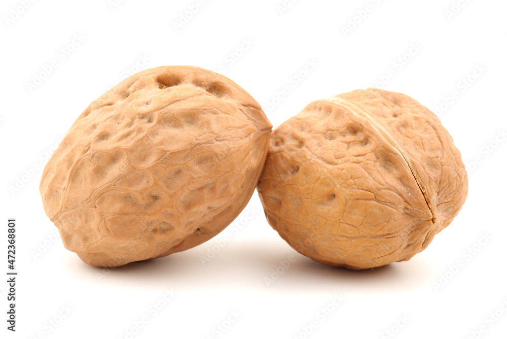 walnut isolated on white background walnut isolated on white background
