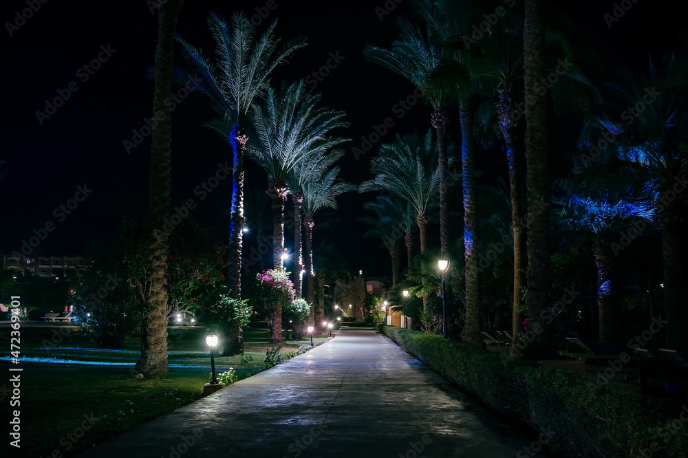 Naklejka premium Night view walkway with tropical palm trees in the light of the