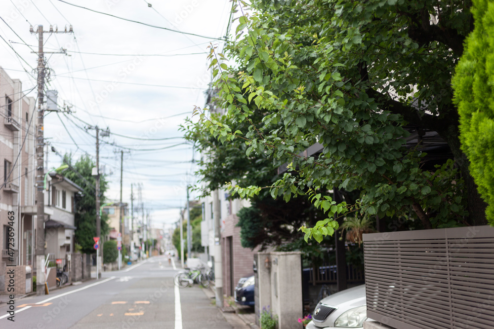 住宅街の街並み（東京都世田谷区代沢周辺）