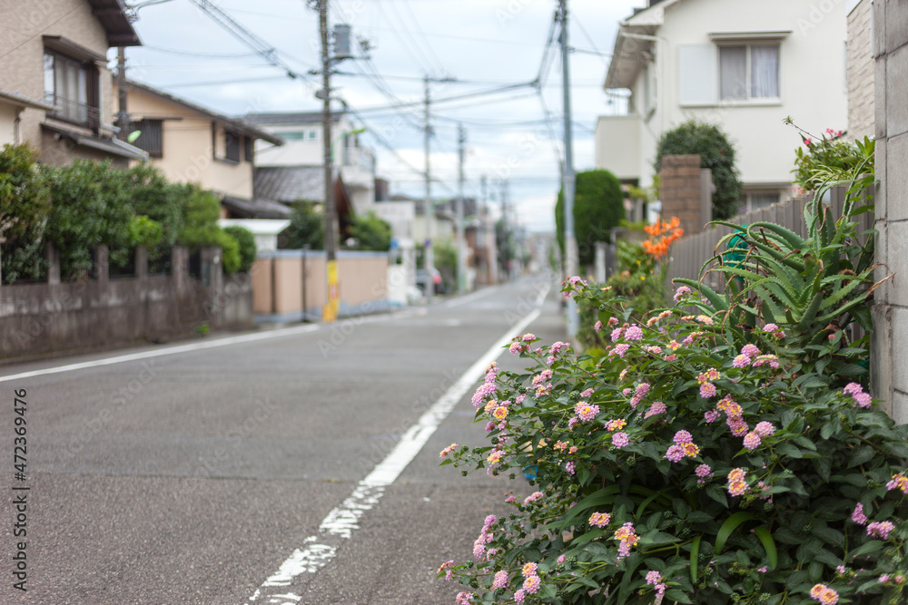 住宅街の街並み（東京都世田谷区代沢周辺）