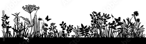 A set of black silhouettes of meadow wild grasses and flowers on a white background. Botanical elements. © Svetlana