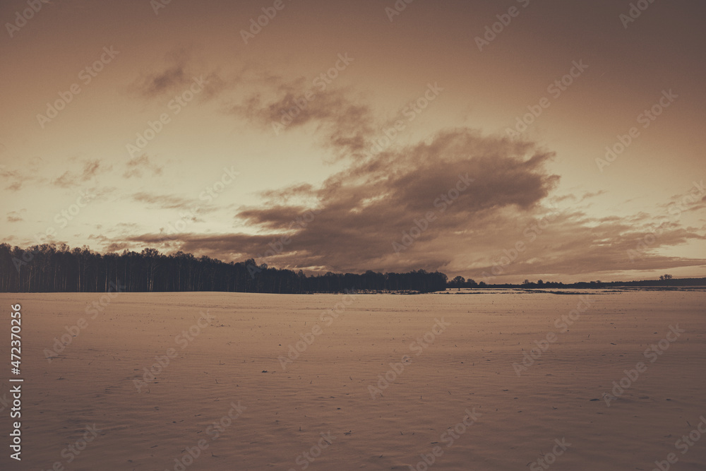 calm quiet monochrome sepia landscape with large snow covered field, forest in distance and beautiful cloud, Latvia