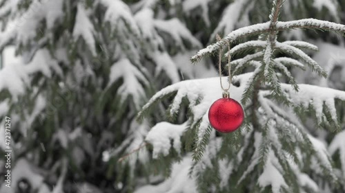 Red ball, Christmas tree toy hangs on a Christmas tree in a snowy winter forest