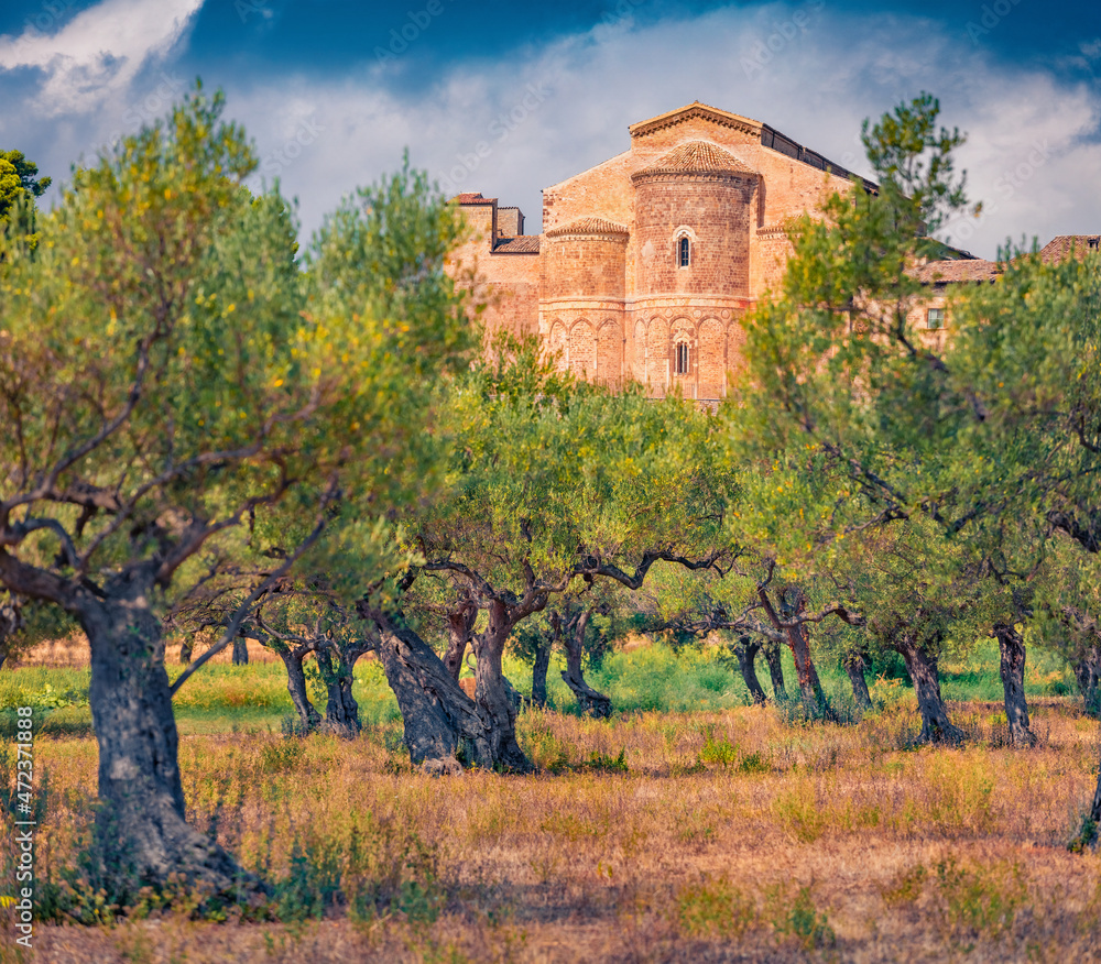 Impressive summer view of Abbey of San Giovanni in Venere. Marvelous outdoor scene of olive garden in Italy, Europe. Traveling concept background. Impressive summer view of Abbey of San Giovanni in Venere. Marvelous outdoor scene of olive garden in Italy, Europe. Traveling concept background.