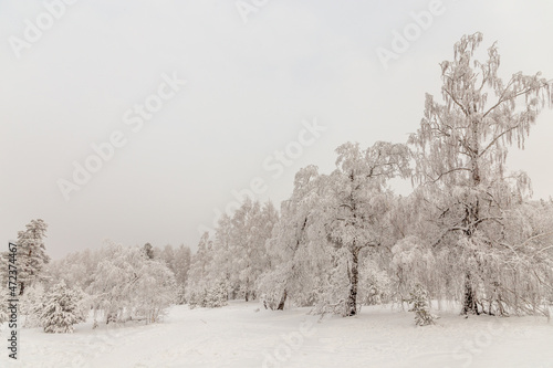 Winter landscape. Taganay national Park, Zlatoust city, Chelyabinsk region, South Ural, Russia © Anton Buymov