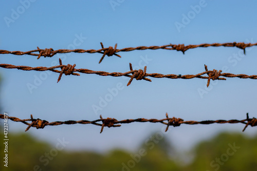 selective focus of barbed wire.human rights day.concept image.