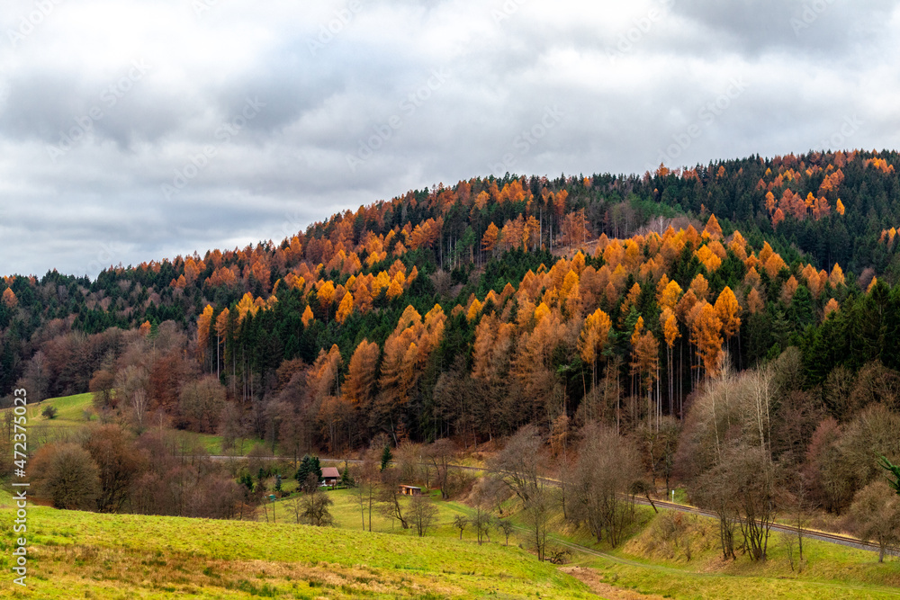 Wanderung durch einen farbenfrohen Thüringer Wald - Thüringen