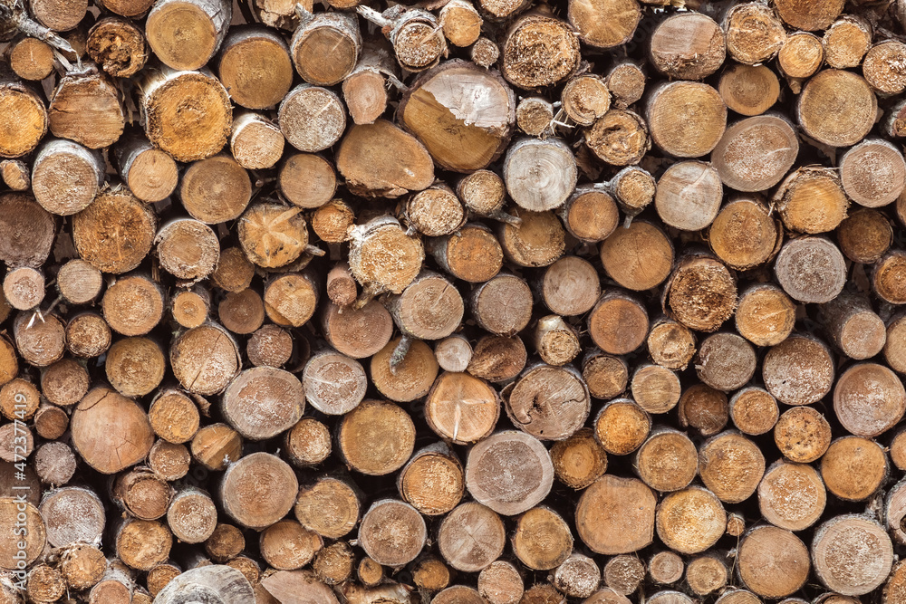 A background of cut wood. Cross sections of pine logs for fire wood or manufacturing. A background of cut wood. Cross sections of pine logs for fire wood or manufacturing.