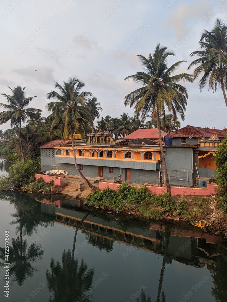 Obraz premium tree in the city