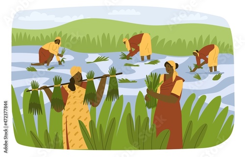 Women workers is planting rice in the field. Rice planting in Asia. Natural farming, village. Hard manual labor. Flat style in vector illustration. India, Vietnam, Bangladesh, Cambodia, Thailand.