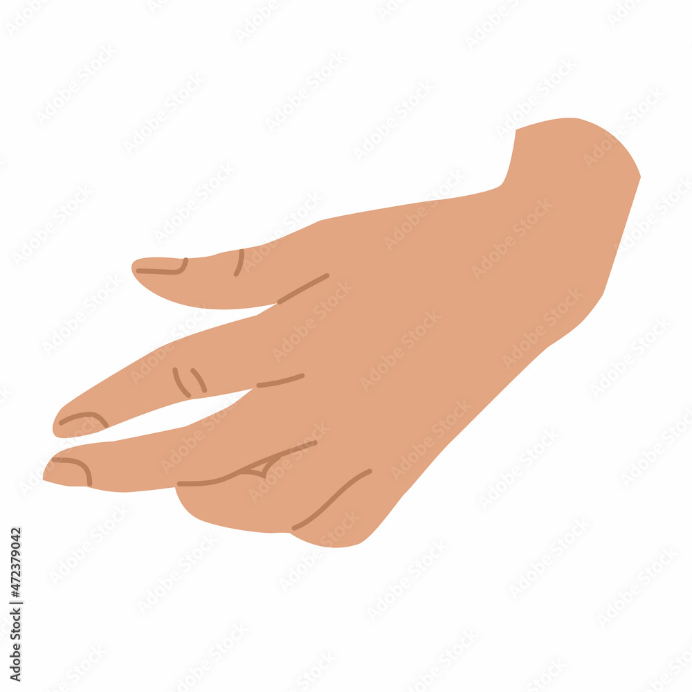 Elegant woman Hand gesture. Flat style in vector illustration. Isolated on white background element. Body language, non-verbal, fingers, palms, holding, catching. Use for promotional offers. Elegant woman Hand gesture. Flat style in vector illustration. Isolated on white background element. Body language, non-verbal, fingers, palms, holding, catching. Use for promotional offers.