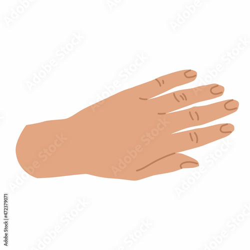 Elegant woman Hand gesture. Flat style in vector illustration. Isolated on white background element. Body language, non-verbal, fingers, palms, holding, catching. Use for promotional offers.