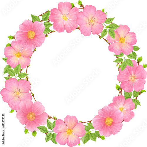 Floral frame of watercolor wild roses. Botanic illustration for card 