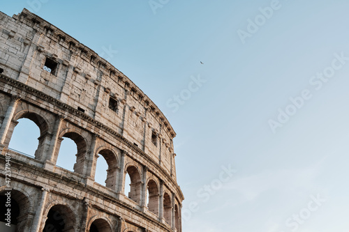Colosseum in Rome in summer days with a bird flying over.