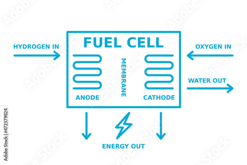 Hydrogen fuel cell. Chemical reaction producing electricity. H2 energy generation. Sustainable and renewable, power source. Anode, cathode, membrane diagram. Vector illustration, outline, clip art.  photo