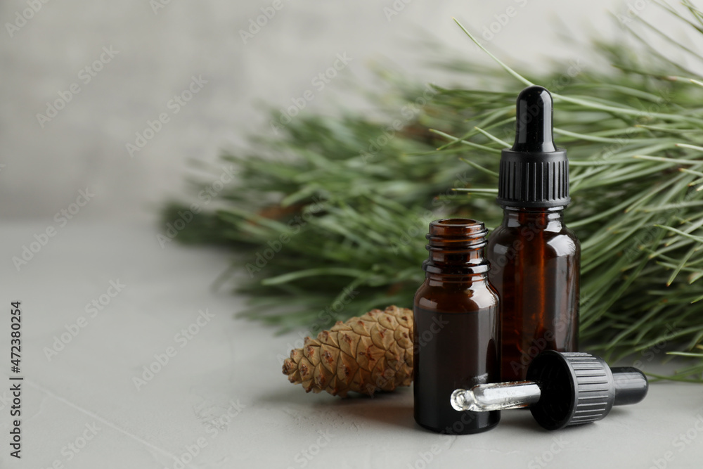 Fototapeta premium Pine essential oil, cone and branches on light grey table. Space for text