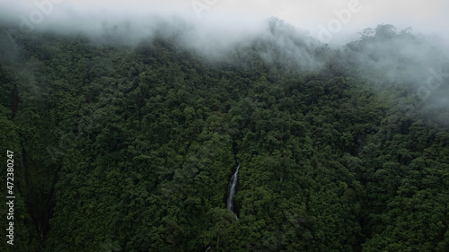 Falls in the rain forest. Nature image