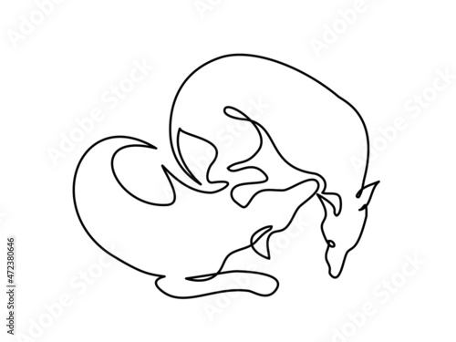 Whippet ,greyhound realistic silhouette outline on white background. Line art. Vector Illustration