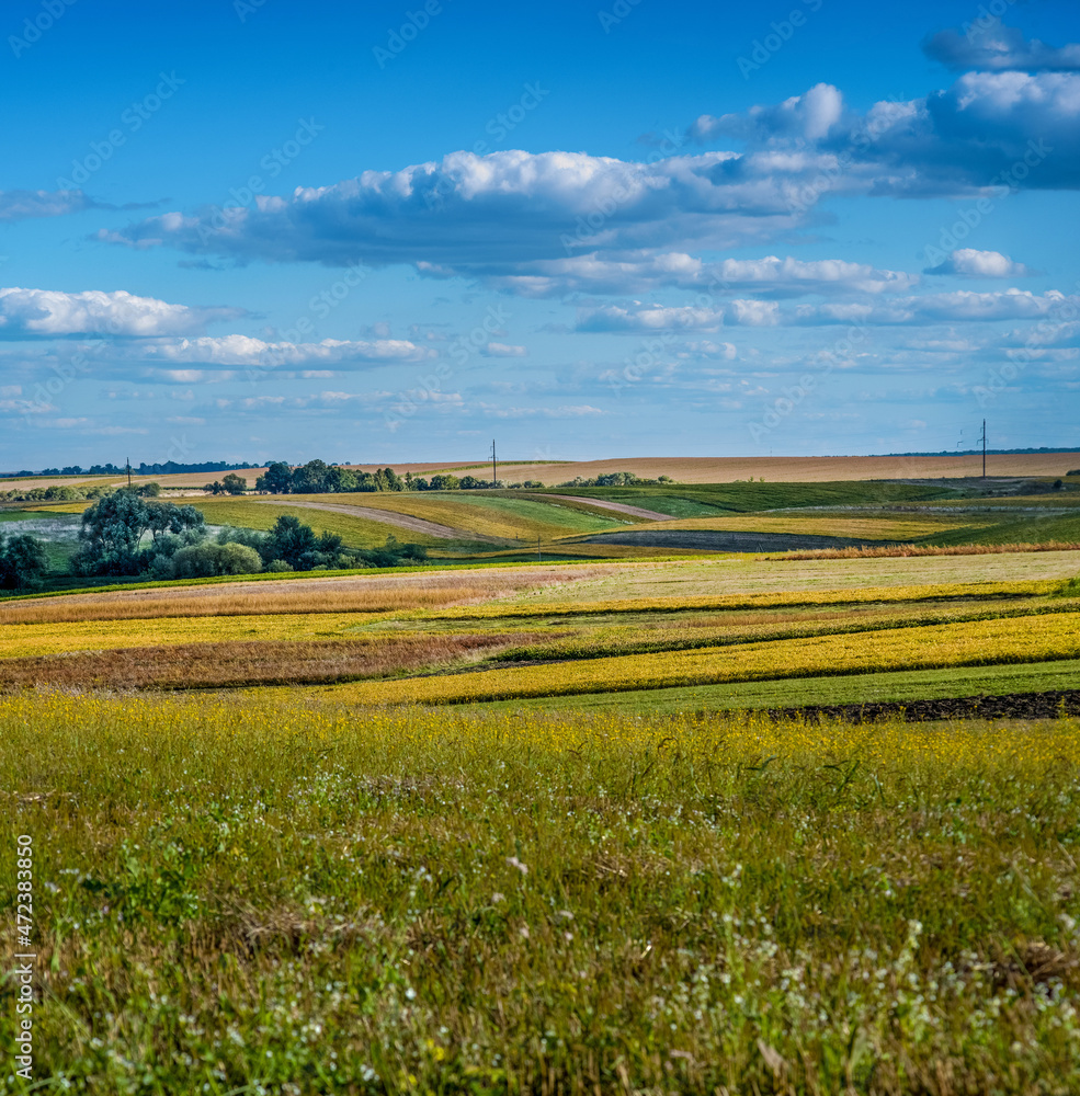 colorful fields and lines, patchwork countryside on the horizon under a blue sky