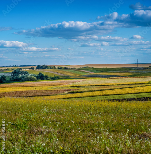 colorful fields and lines, patchwork countryside on the horizon under a blue sky