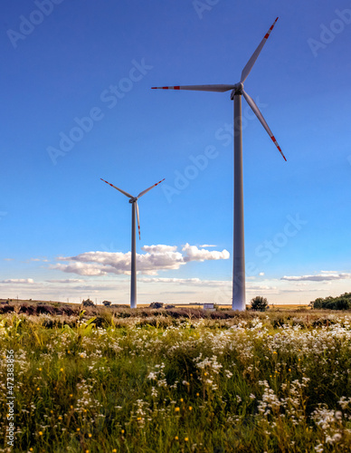 wind turbines at field with blue sky, alternative energy