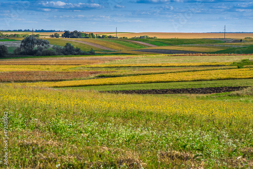 waves and lines of colorful fields on the horizon under a blue sky