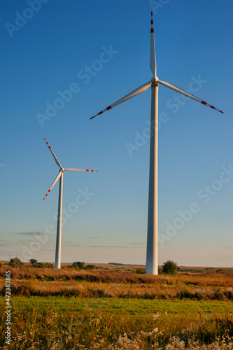 wind turbines in field with blue sky evening light