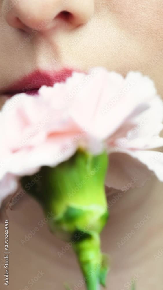 Closeup slow motion vertical video of female with pink carnation flower near face. Closeup slow motion vertical video of female with pink carnation flower near face.