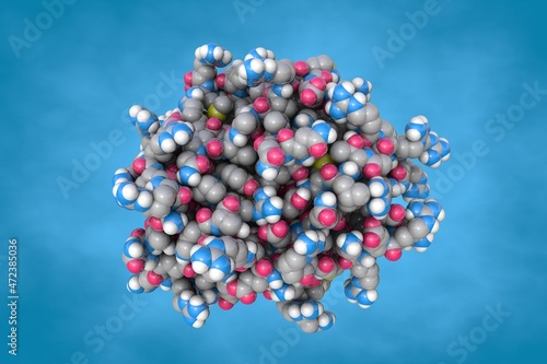 Space-filling molecular model of human cathepsin G. Rendering based on protein data bank. Scientific background. 3d illustration photo