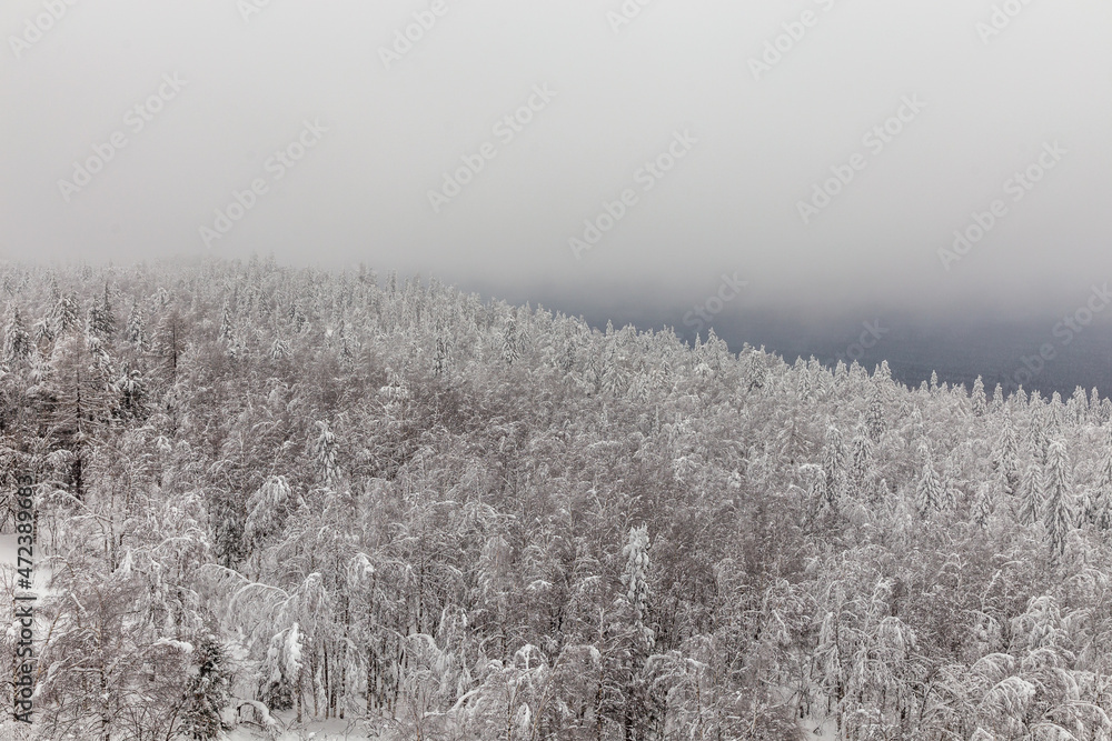 Fototapeta premium Winter landscape. Black rock, Taganay national Park, Zlatoust city, Chelyabinsk region, South Ural, Russia.