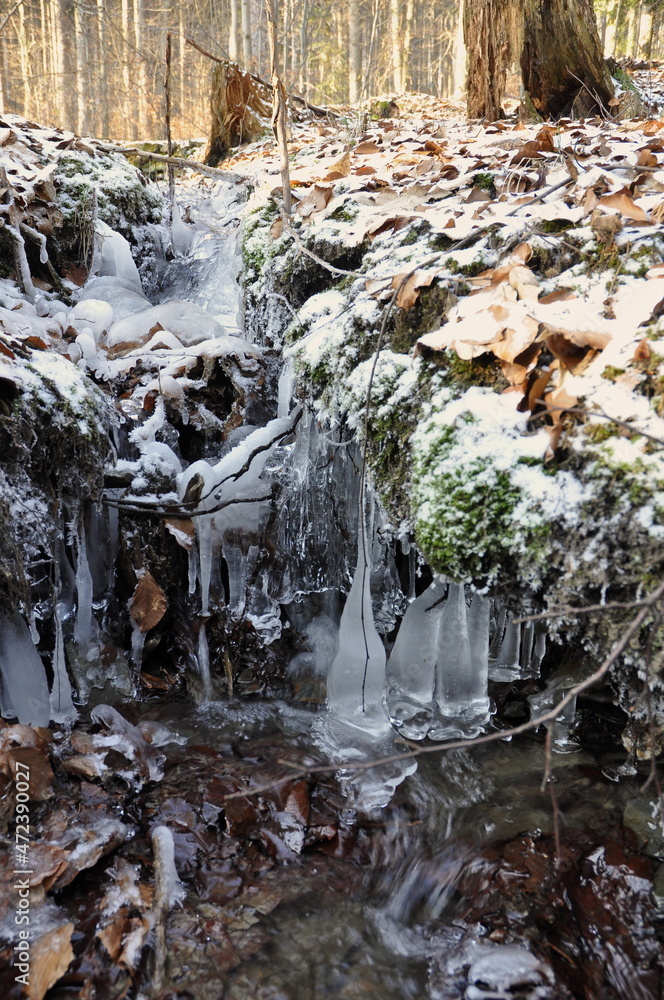 Fototapeta premium Hiking in Jeseniky Mountains, proper winter conditions